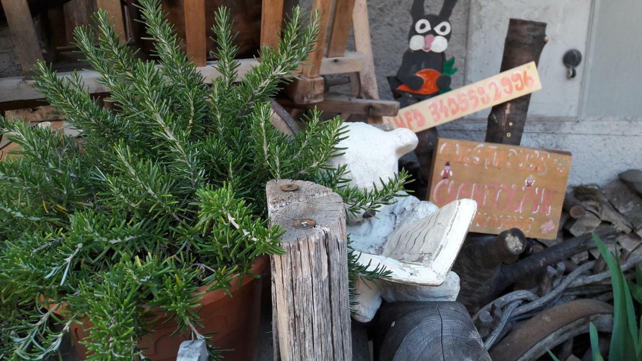 Cianbolpin Guesthouse Canazei Eksteriør bilde