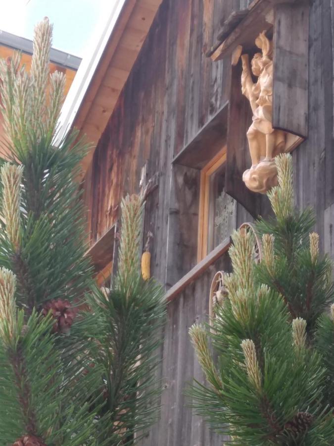 Cianbolpin Guesthouse Canazei Eksteriør bilde